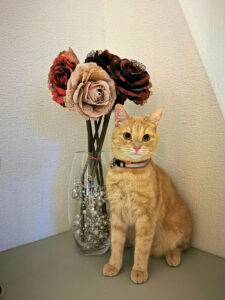 Juubelimõtisklused palatis 308 ja staabis 328