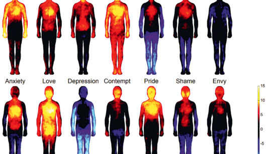 Keha emotsioonide topograafiline kaart. Soojad toonid näitavad, kus on emotsiooni tundmine kõige tugevam ja külmad toonid, kus seda emotsiooni ei tunta. Põhiemotsioonide hulka kuuluvad: õnnelikkus, üllatus, kurbus, hirm, viha ja vastikus. Foto: Nummermaa jt, 2013)