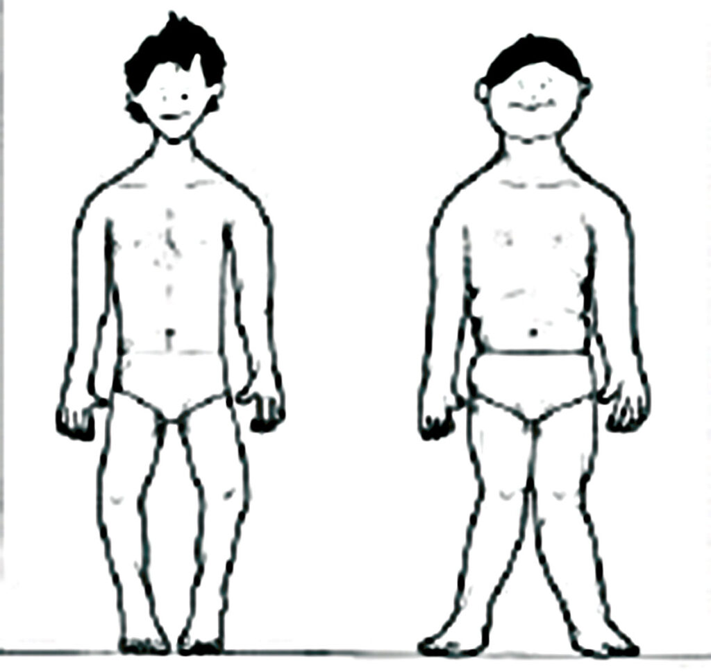 Joonis 1. a -vaarusseis ja b- valgusseis (Hefti 2007).